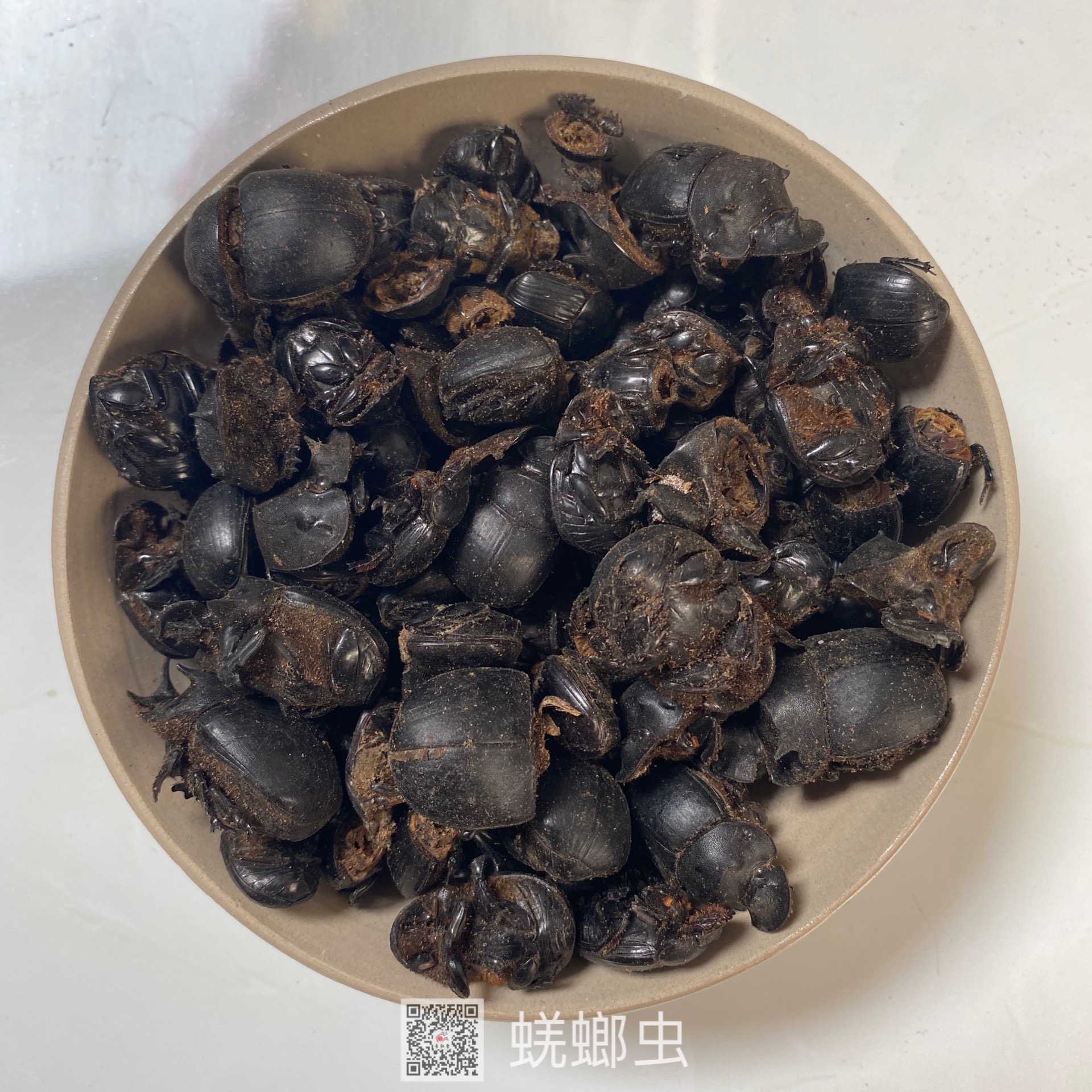 中药材蜣螂蜣螂虫的药用价值