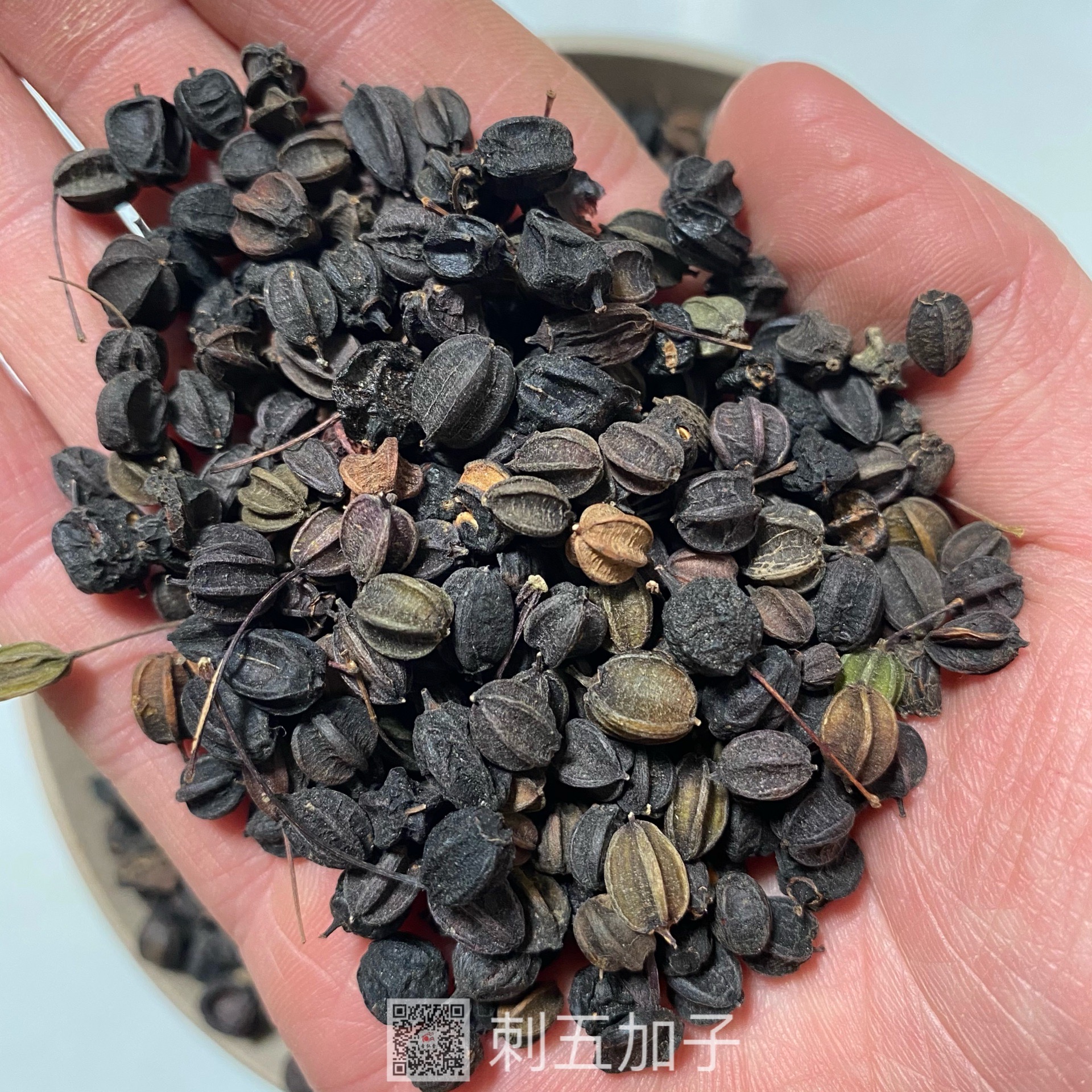 中药材刺五加籽刺五加籽有卖质量可靠