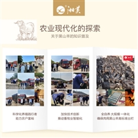 致富经黑山羊养殖  养殖黑山羊，把它当作事业来做