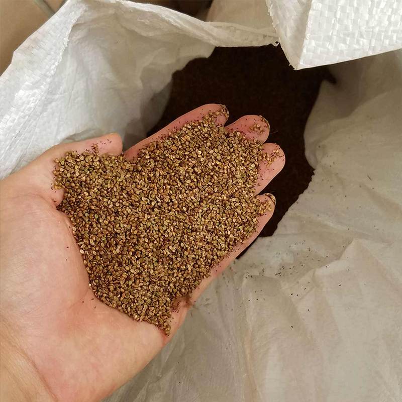 边坡绿化用草籽 边坡绿化草籽品种 边坡绿化用什么草籽