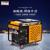 双缸柴油发电电焊机YT300EW