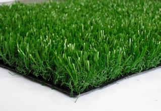 广东红色人造草坪 儿童乐园塑料草坪地毯 幼儿园养眼装饰草