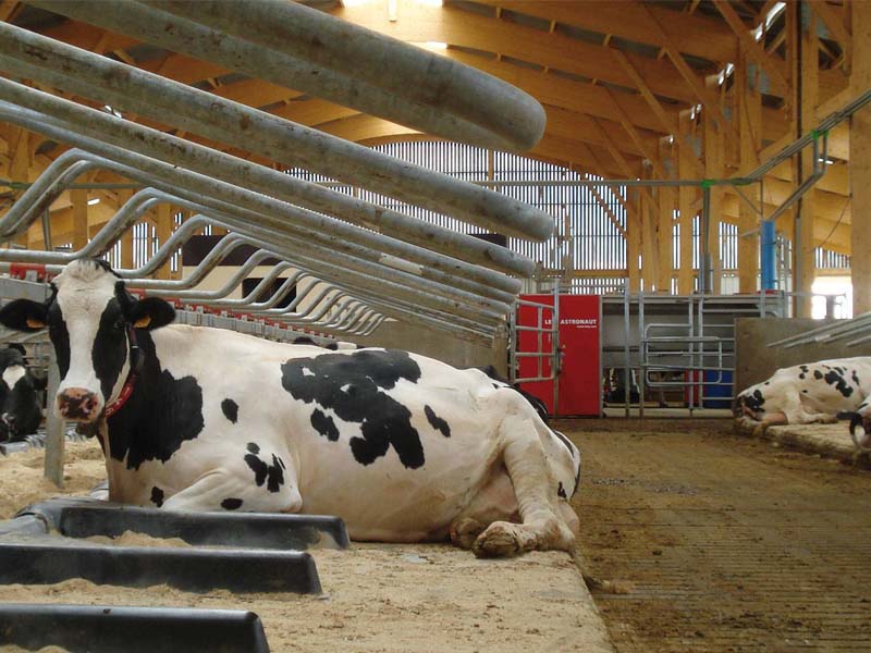 奶牛场卧床垫料再生系统牛床垫料再生系统