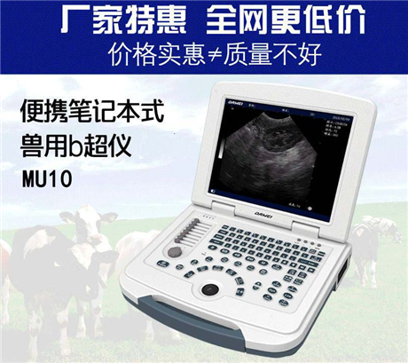 宠物超声设备  宠物店b超机 宠物超声诊断仪 宠物店兽用b超价格