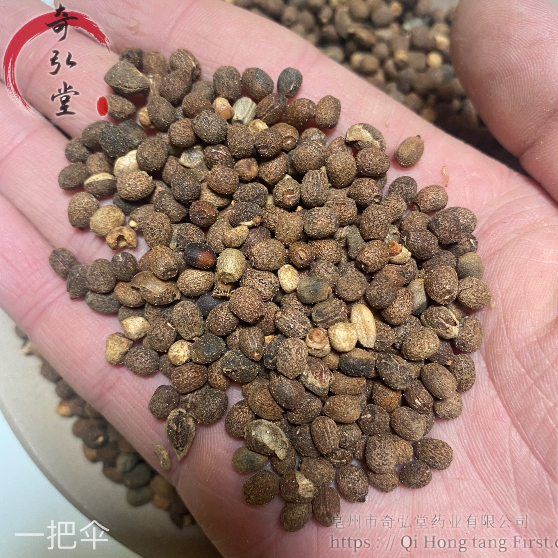 一把伞现货供应一把伞品质可靠