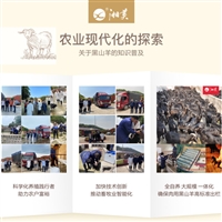 关于黑山羊养殖的创业计划书  养黑山羊创业，祝愿羊友们2021养殖之路越走越顺