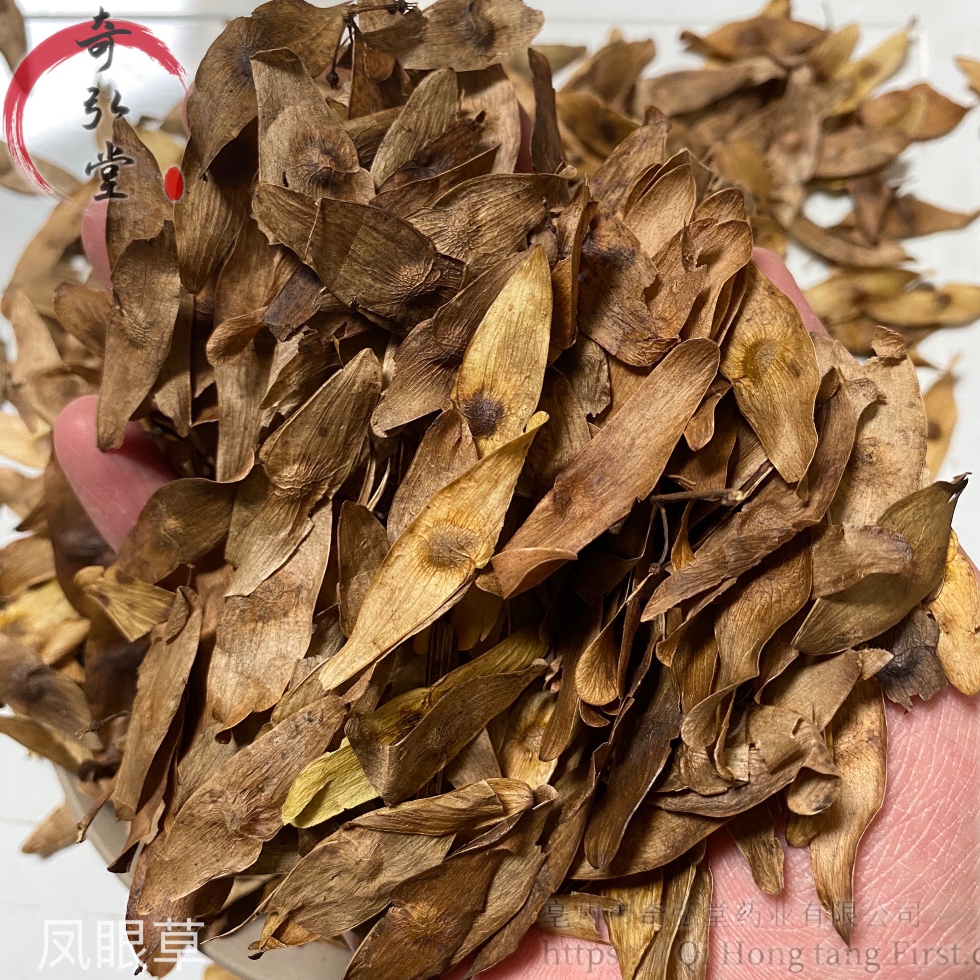 出售凤眼草凤眼草现货供应