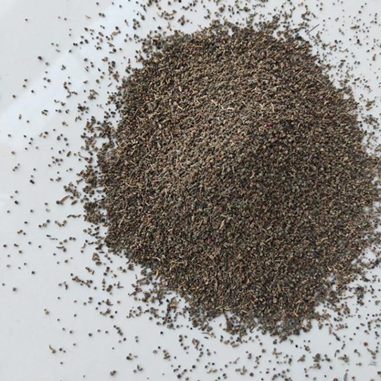 碱蓬又名黄须菜,皇席菜,是一年生草本积盐植物,植物学分类为藜科碱蓬