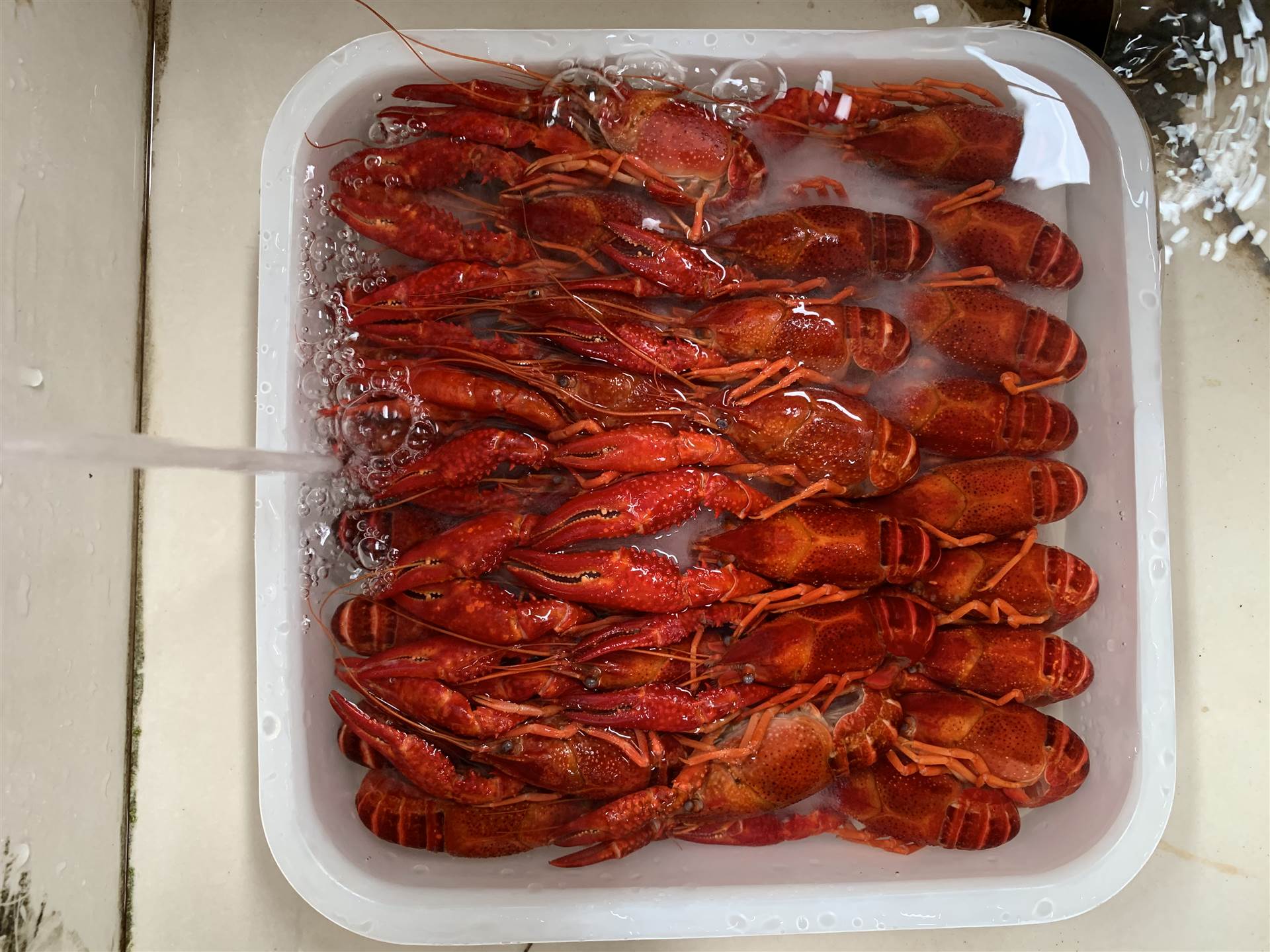 2021潜江楚淼出口品质液氮速冻小龙虾456钱冻虾库存充足