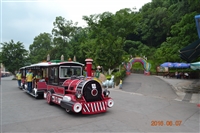 电动观光火车  中国旅行火车  儿童观光小火车