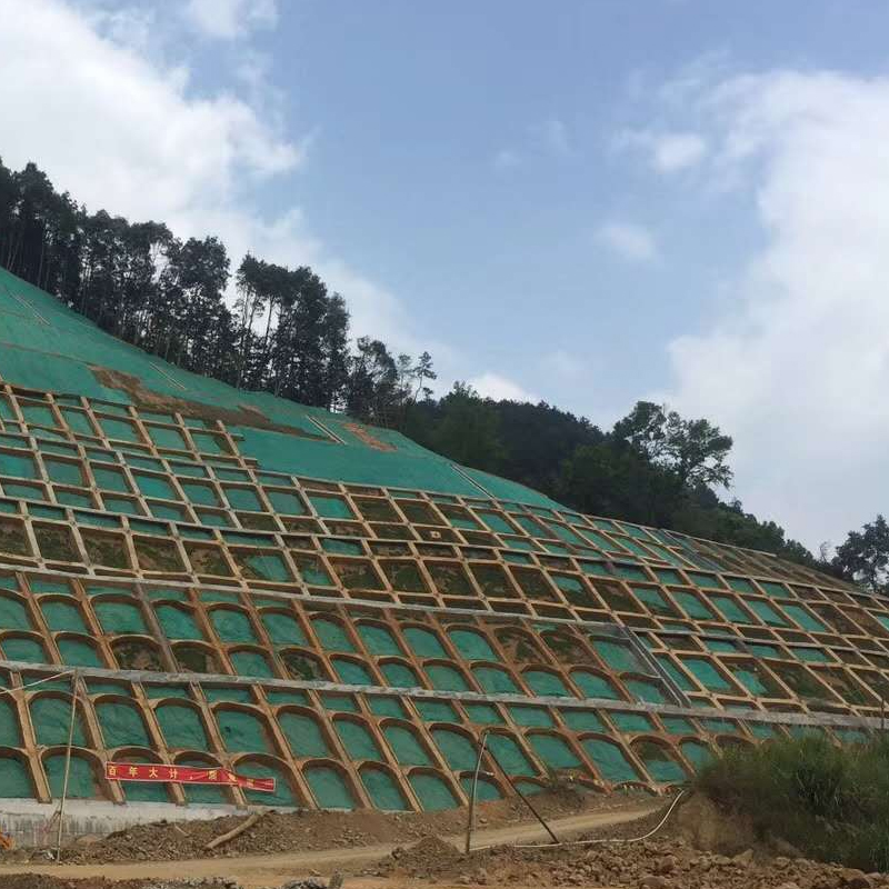 厦门园林绿化工程种植施工