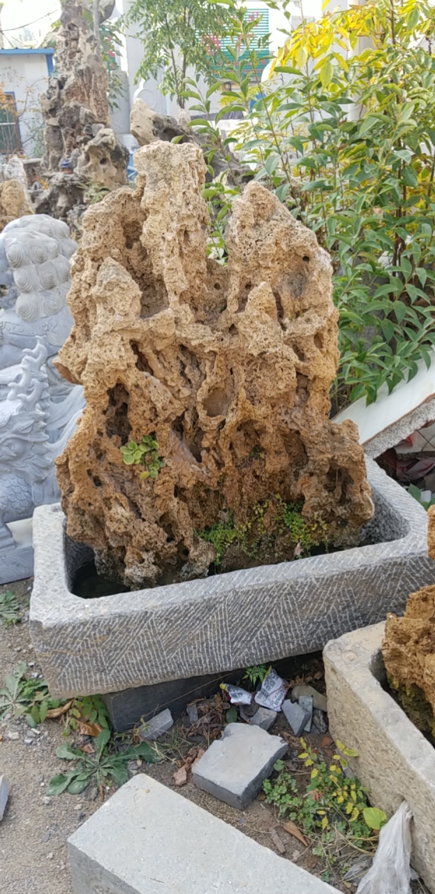 批发吸水石上水石麦管石钟乳石吸水石欢迎电话购买咨询