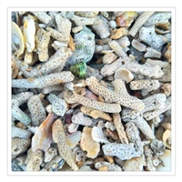 批发珊瑚砂 水族珊瑚砂 江西海洋馆滤料珊瑚砂