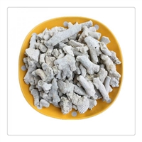 批发珊瑚砂 造景珊瑚砂 江西海洋馆滤料珊瑚砂