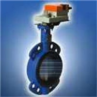 瑞士BERINGER阀体