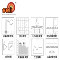 德国SELI分析仪器