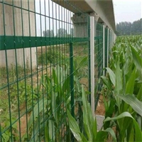 高铁刺网围栏 高铁刺网栅栏 高铁封闭网栅栏实体工厂