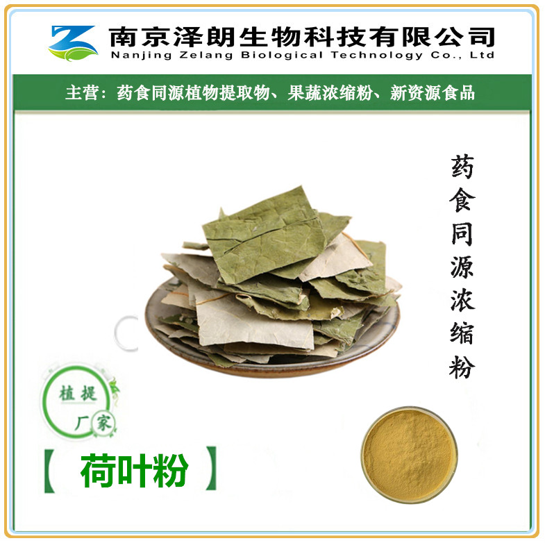 荷叶粉荷叶提取物