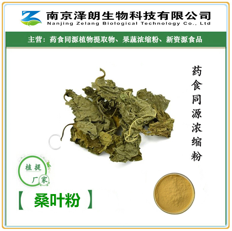 桑叶粉桑叶提取物