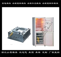 浙江模具制造电冰器模具 供商冷柜模具制造厂