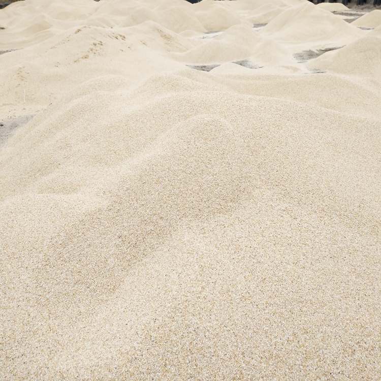 海沙供应济南 儿童幼儿园玩耍海沙 水洗无粉尘海沙 海沙颗粒均匀