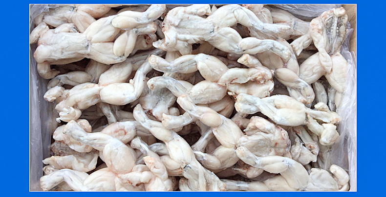 鲜活新鲜现杀冷冻牛蛙速冻冰冻大号美蛙10斤装冻品商用版5件包邮