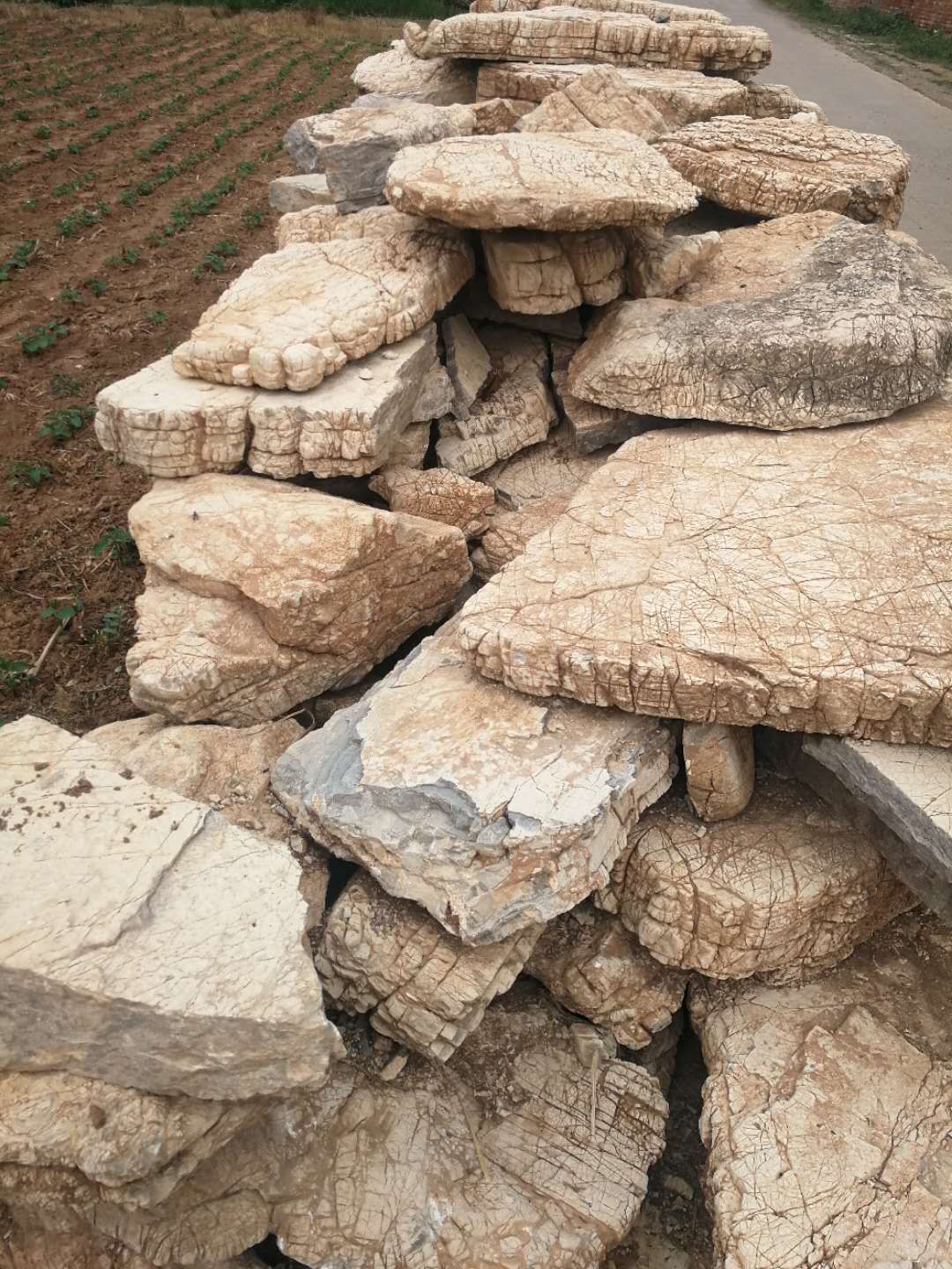 龟纹石定制 山东龟纹石批发 仟荣园林