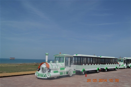 景区小火车    轨道观光火车   柴油小火车