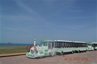 景区小火车    轨道观光火车   柴油小火车