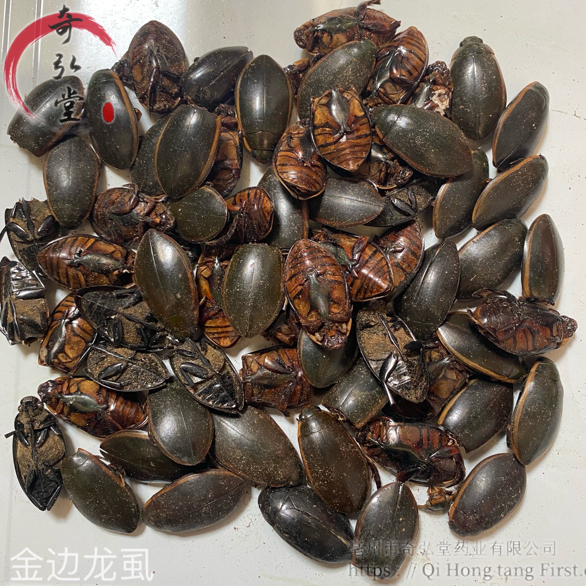 中药材金边龙虱金边龙虱的药用价值