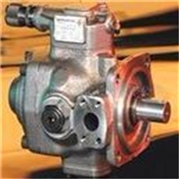 意大利BERARMA止回阀