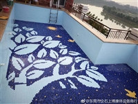 酒店游泳池 家庭游泳池过滤设备