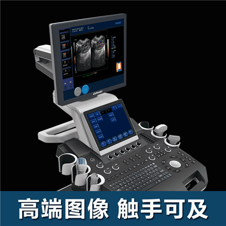 大鼠b超机 老鼠彩超机器 鼠用超声 小动物科研超声诊断仪厂家