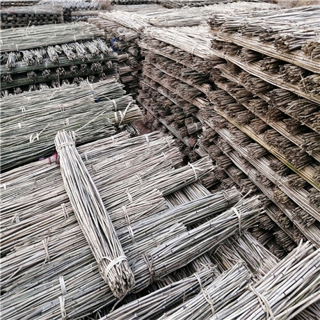 白竹批发3米4米5米白竹杆农用竹杆江西白竹京西竹业