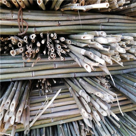 白竹批发3米4米5米白竹杆农用竹杆江西白竹京西竹业