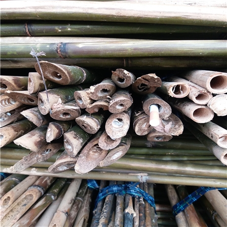 1米-2米细竹竿批发 农用搭架 篱笆竹竿