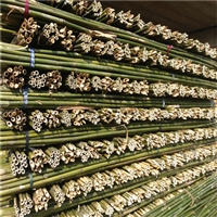 厂家批发苹果树专用优质4米小竹竿 供应陕西榆林