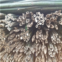 厂家直销苹果树竹竿 供应甘肃平凉