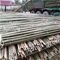 厂家批发葡萄树、苹果树、圣女果、枣树、枸杞等各类果树支撑竹杆