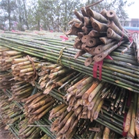 厂家供应苹果树竹竿 4米小竹竿 供应陕西延安