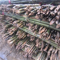 厂家直销优质4米小竹竿 供应甘肃庆阳苹果树绑扶