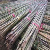 大量批发供应6米竹竿