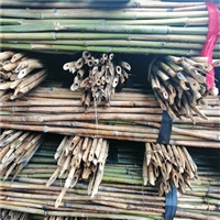 各类江西竹竿批发 大小竹竿 粗细竹竿 农用园林用出口用的竹竿批