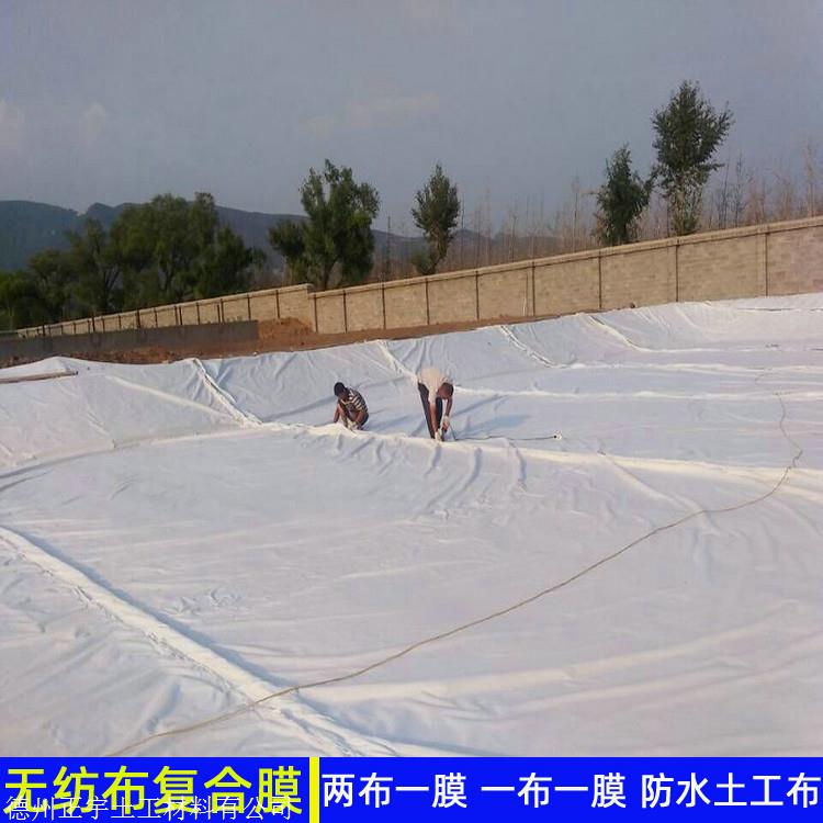 mk体育官网揭秘！建筑防水黑科技专利湖北巨头如何重构未来？