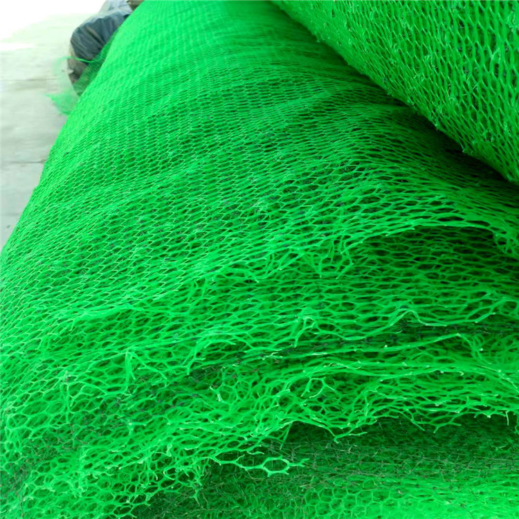 枣庄市三维土工网垫 三维植被网垫质量放心