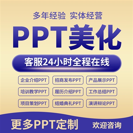 汕头市PPT设计PPT排版一对一PPT服务包满意