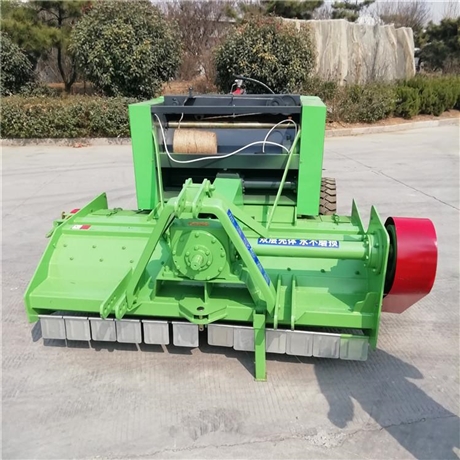 种羊波尔山羊苗 活苗纯种小羊崽 山羊活幼体活苗厂家直售