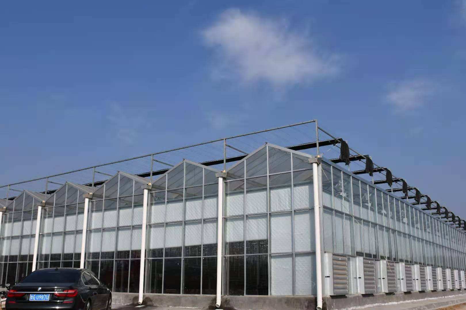 玻璃大棚玻璃大棚厂家玻璃大棚材料鑫泽温室大棚生产设计