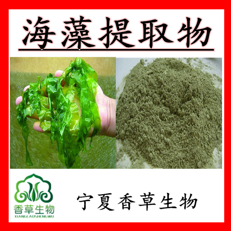 海藻多糖30食品级海藻提取物海藻粉巨藻粉