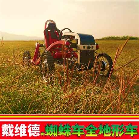 水陆两栖车厂家 argo两栖车阿尔戈全地形车价格 电动车